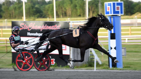 Foto: MALIN ALBINSSON / TR BILD