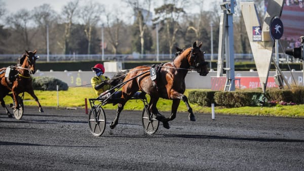Foto: BRUNO VANDEVELDE/LE TROT
