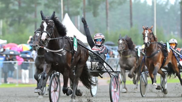 Foto: MARIA HOLMÉN / TR BILD