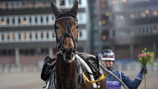 Foto: LARS JAKOBSSON / TR BILD