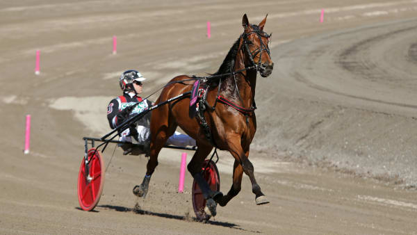 Foto: MATILDA ÖHRMAN / TR BILD