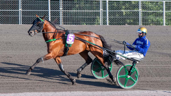 Foto: MIKAEL ROSENQUIST / TR BILD