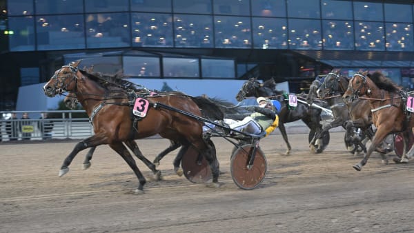 Foto: LARS JAKOBSSON / TR BILD