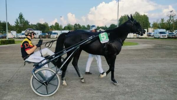 Foto: Lucas Ericsson