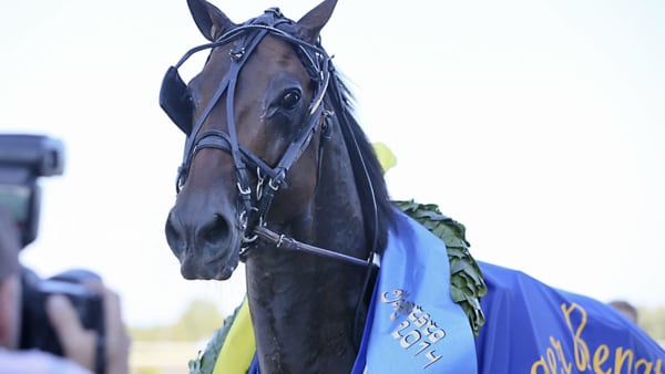 Foto: JEANNIE KARLSSON