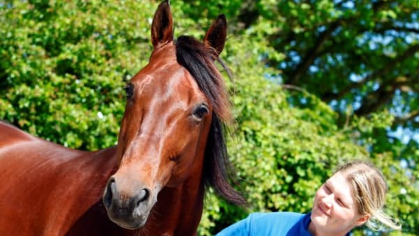 Foto: MIA TÖRNBERG/TRAVRONDEN