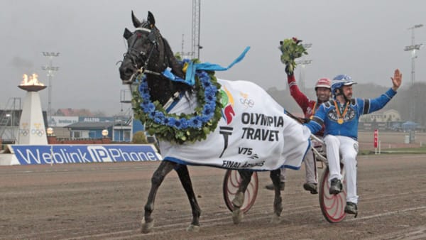 Foto: MIA TÖRNBERG/TRAVRONDEN