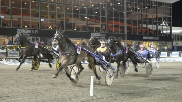 Foto: Christer Norlin/ALN