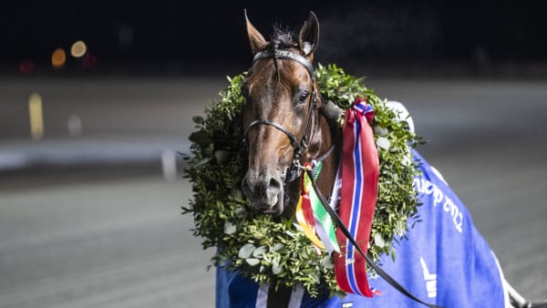 Foto: HESTEGUIDEN.COM