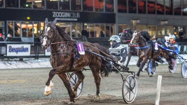 Foto: DAVID SCHREINER / TR BILD