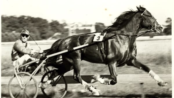 Foto: Erik Andersson/P&R