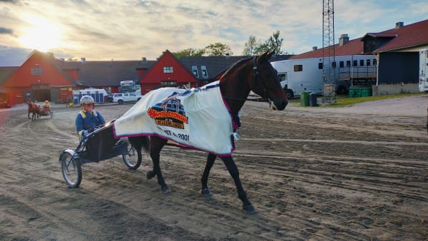 Foto: LUCAS ERICSSON/TR BILD