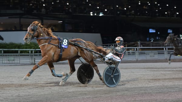 Foto: Lars Jakobsson / TR BILD