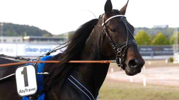 Lätt för Cool Keeper · Senaste nyheterna om trav · Travronden