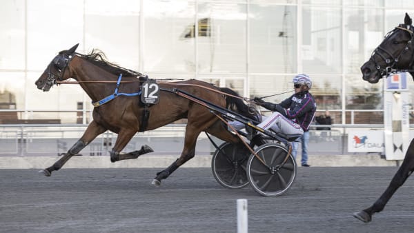 Foto: LENA EMMOTH / TR BILD