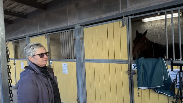 Foto: Rickard Hansson/TR BILD