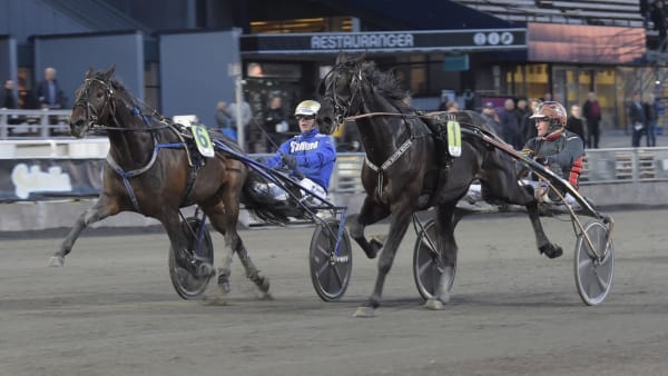 Foto: LARS JAKOBSSON/TR BILD