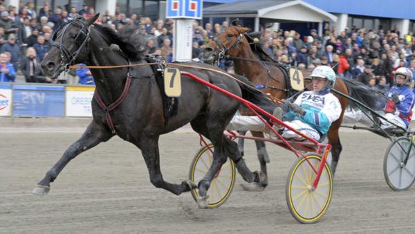 Foto: MARTIN LANGELS/ALN