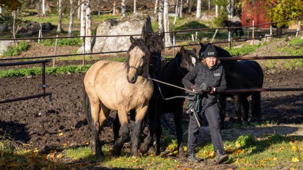 Foto: THOMAS BLOMQVIST / TR BILD