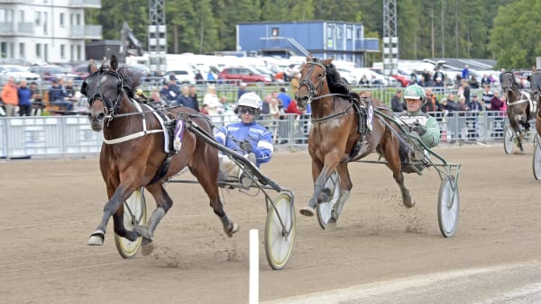 Foto: LARS JAKOBSSON / TR BILD