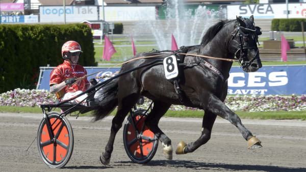 Foto: LARS JAKOBSSON / TR BILD