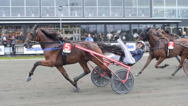 Foto: LARS JAKOBSSON / TR BILD