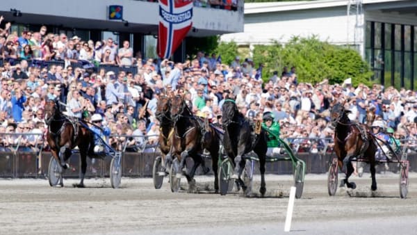 Foto: URBAN KIHLMAN/ALN