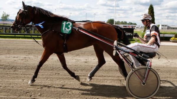 Foto: THOMAS GUSTAFSSON/ALN