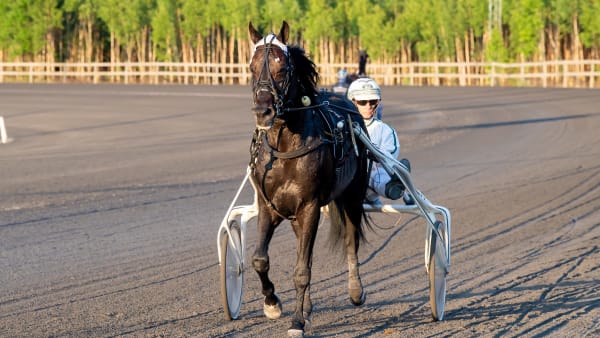 Foto: MIKAEL ROSENQUIST / TR BILD