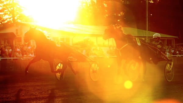 Foto: MARIA HOLMÉN/TRAVRONDEN