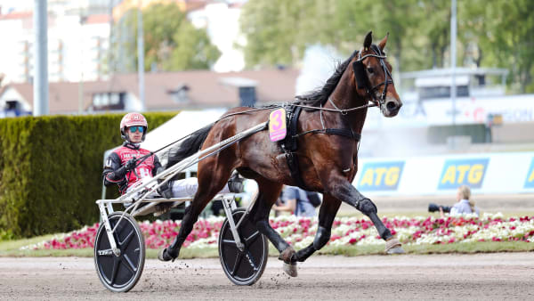 Foto: Kuvaaja Maisa Hyttinen/Suomen Hippos