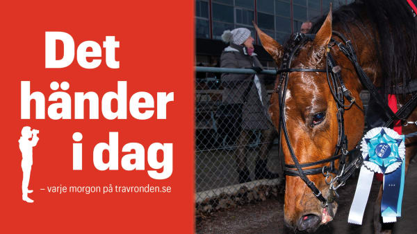 Foto: TR BILD