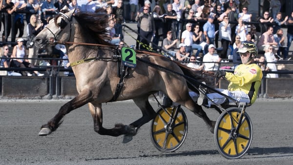 Foto: ANDERS KONGSRUD/HESTEGUIDEN