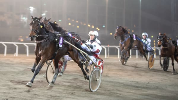 Foto: MIKAEL ROSENQUIST / TR BILD