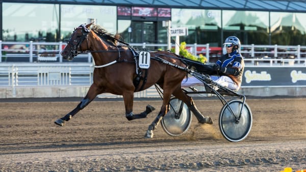 Foto: LENA EMMOTH / TR BILD