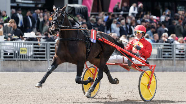 Foto: LENA EMMOTH / TR BILD