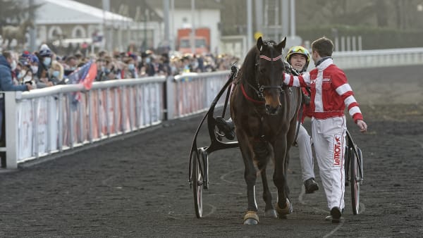 Foto: Jean-Luc LaMaère/LeTrot