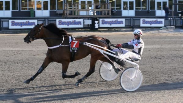 Foto: BERTH MAGNUSSON/ALN