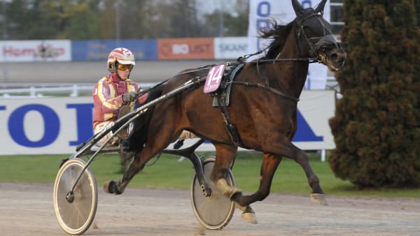 Foto: CLAES KÄRRSTRAND