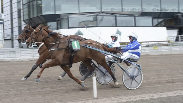 Foto: LARS JAKOBSSON / TR BILD