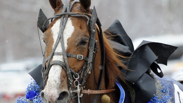 Foto: MALIN ALBINSSON/KANAL 75