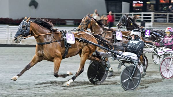 Foto: Tommy Andersson/ALN