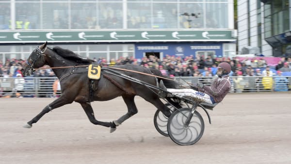 Foto: LARS JAKOBSSON / TR BILD