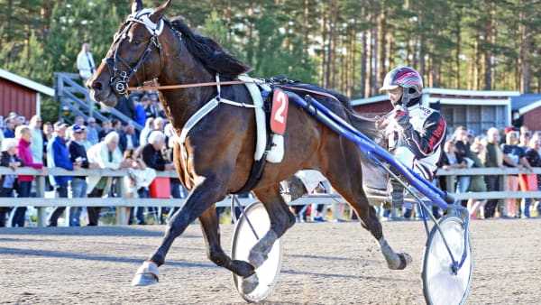 Foto: MALIN ALBINSSON / TR BILD