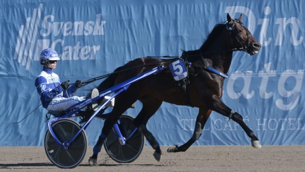 Foto: LARS JAKOBSSON / TR BILD