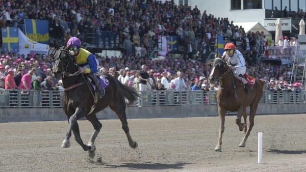 Foto: LARS JAKOBSSON/TR BILD