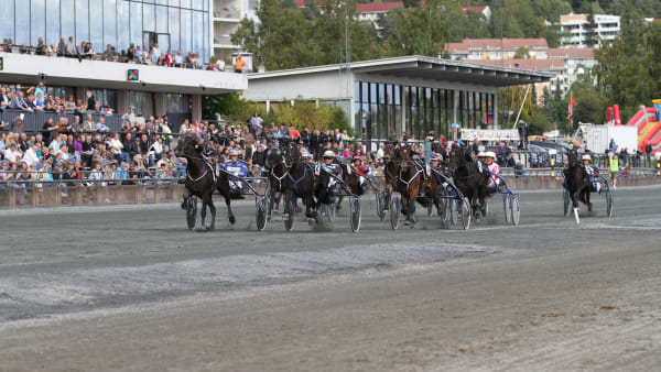 Foto: STEIN LARSEN/TRAV365.NO