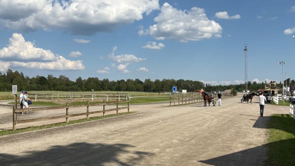 Foto: EMIL PERSSON/TR BILD