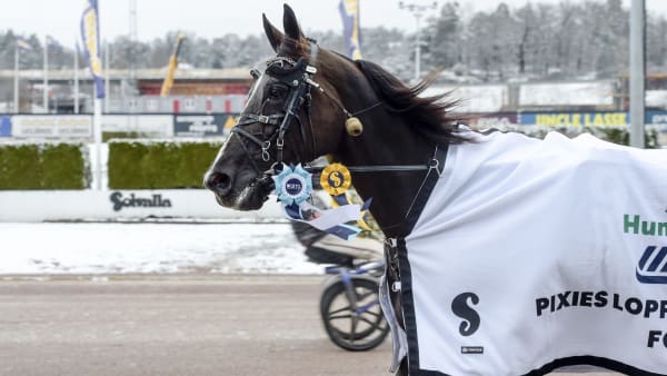 Foto: LARS JAKOBSSON / TR BILD