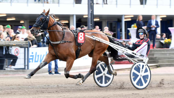 Foto: MALIN ALBINSSON / TR BILD